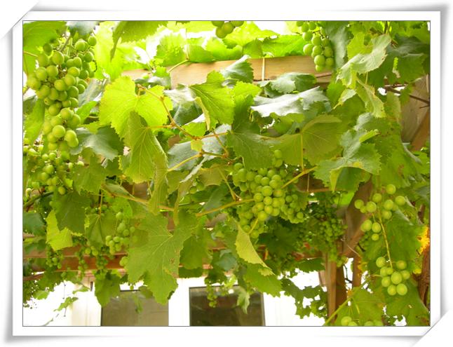 ����ը��,Ҳ��һ���ҵĹ���.