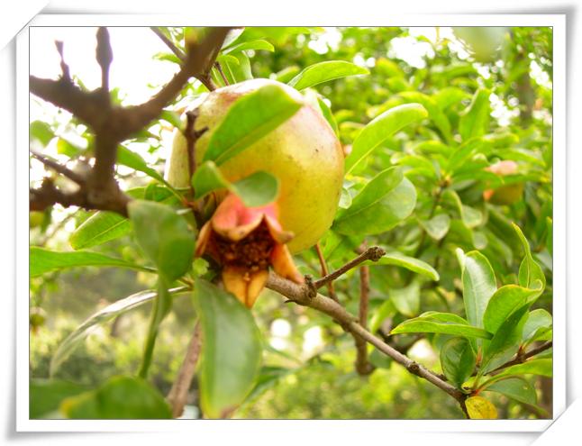 ����ը��,Ҳ��һ���ҵĹ���.