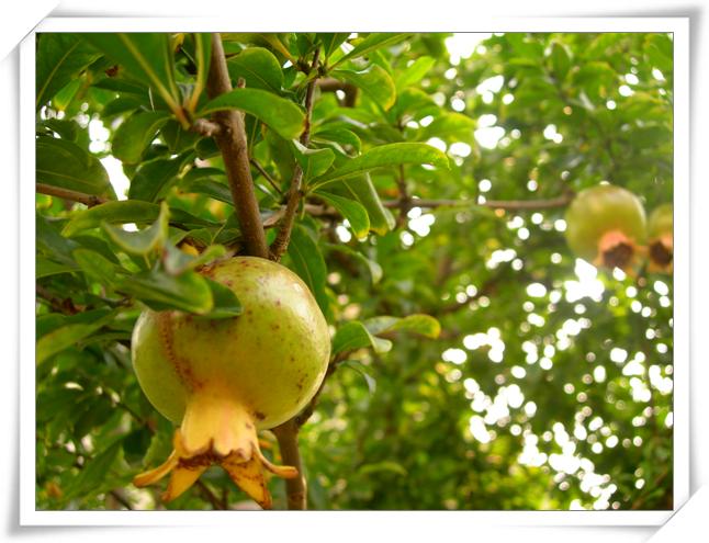 ����ը��,Ҳ��һ���ҵĹ���.