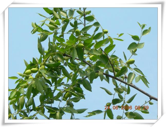 ����ը��,Ҳ��һ���ҵĹ���.