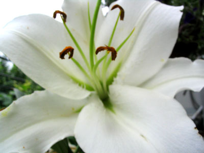 ����N�õİٺ����ڿ����ˣ����������¶�pp����