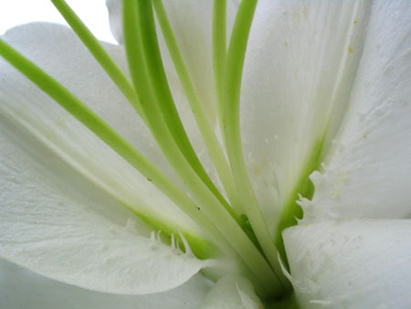 ����N�õİٺ����ڿ����ˣ����������¶�pp����