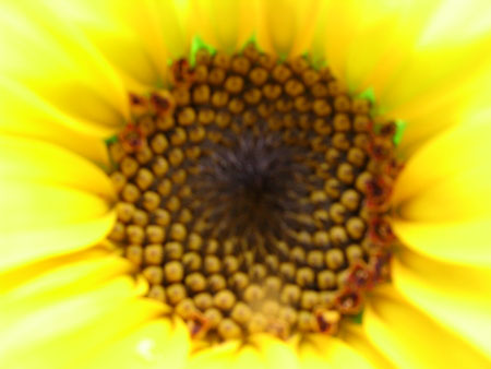 ��ţ��-----�Ѿ���4����ɫ�ˣ�ÿ�ո��£�