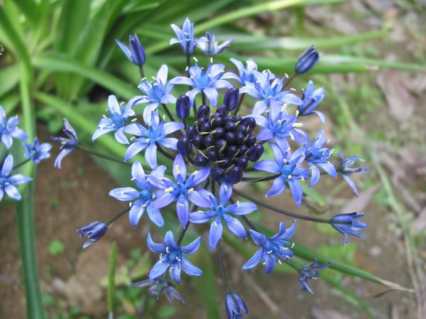 �н�����(����,�𰸹�����P2)