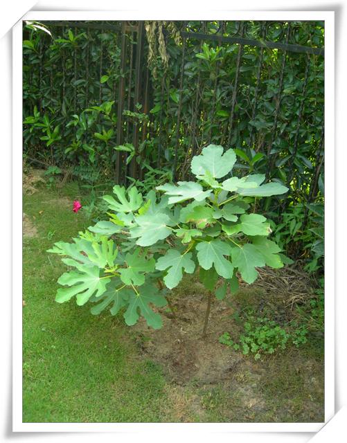 ����ը��,Ҳ�����ҵĹ���( P9�Ժ���ͼƬ,�����ע..)