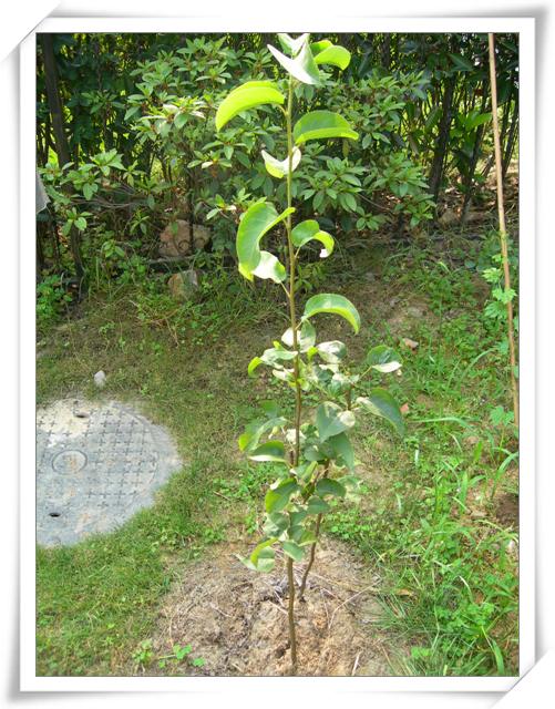 ����ը��,Ҳ�����ҵĹ���( P9�Ժ���ͼƬ,�����ע..)