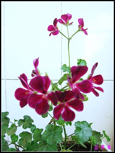 �������ÿ�:P8�°ܵ�3������