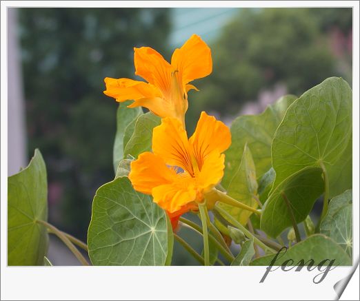 �������ú������л�����