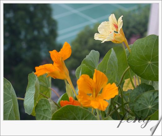 �������ú������л�����