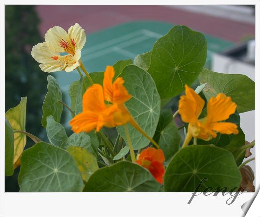 �������ú������л�����