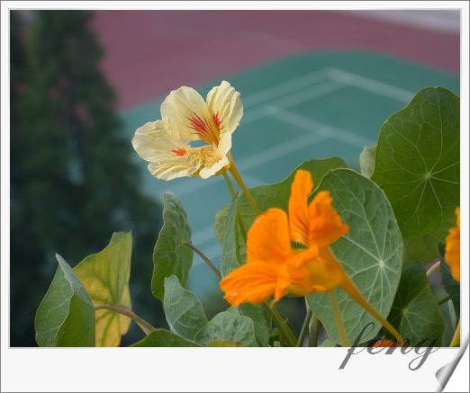 �������ú������л�����