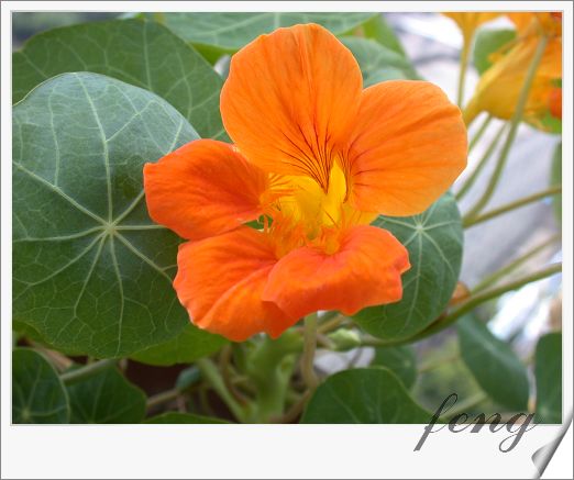 �������ú������л�����