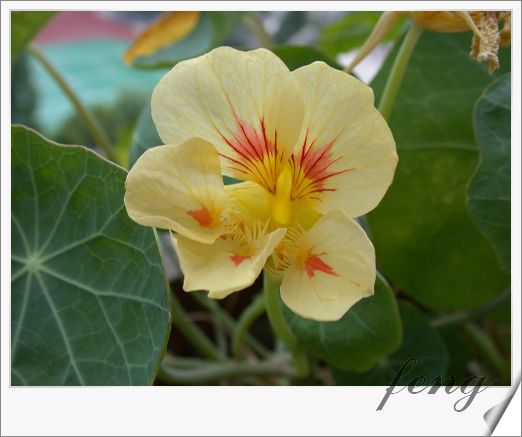 �������ú������л�����