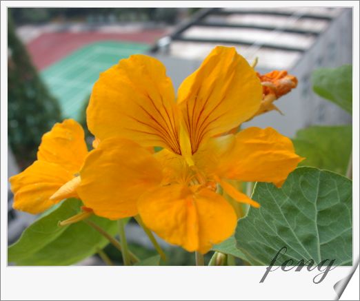 �������ú������л�����