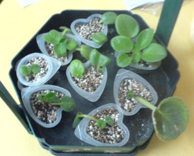 ���������ռǣ�����gxq+����������λ���ѷ�����