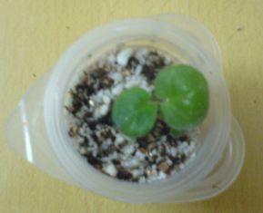 ���������ռǣ�����gxq+����������λ���ѷ�����