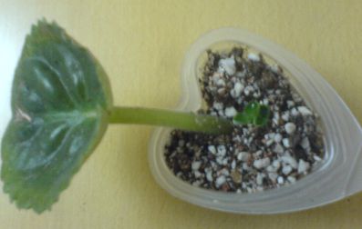 ���������ռǣ�����gxq+����������λ���ѷ�����