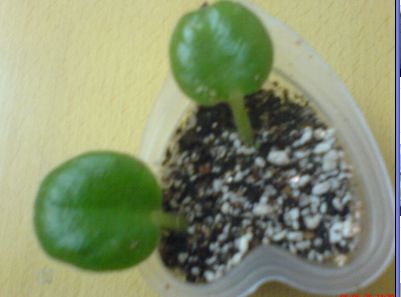 ���������ռǣ�����gxq+����������λ���ѷ�����