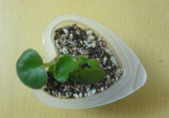 ���������ռǣ�����gxq+����������λ���ѷ�����