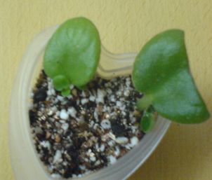 ���������ռǣ�����gxq+����������λ���ѷ�����