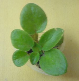 ���������ռǣ�����gxq+����������λ���ѷ�����