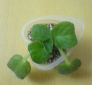 ���������ռǣ�����gxq+����������λ���ѷ�����