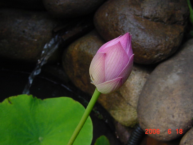 ����СԺ����P20 �����β��