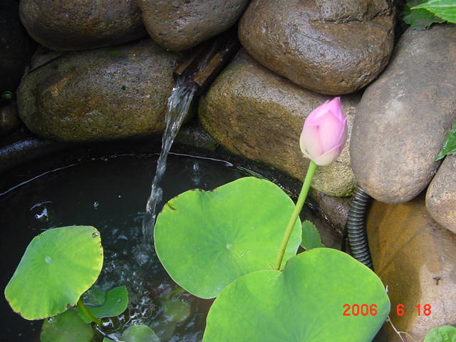 ����СԺ����P20 �����β��