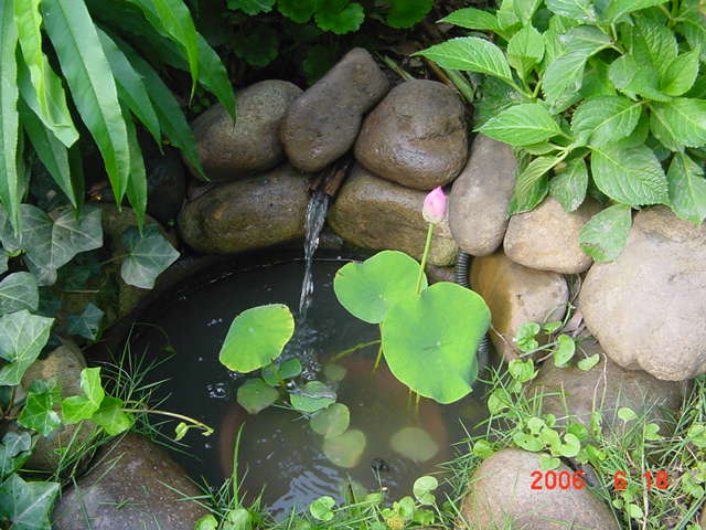 ����СԺ����P20 �����β��