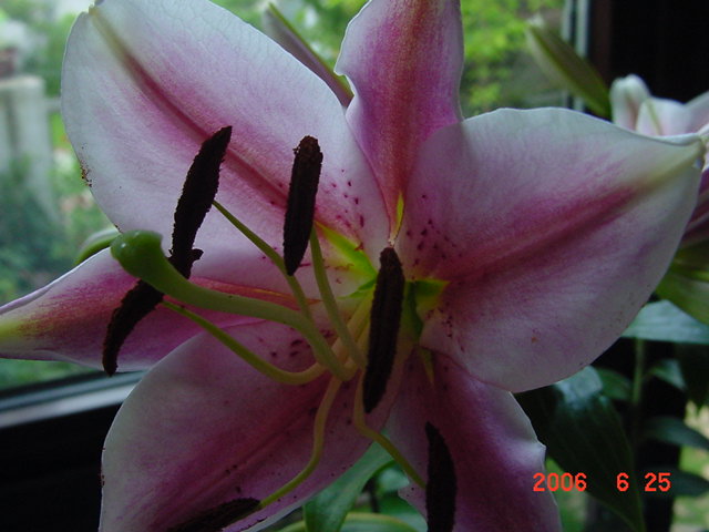 ����СԺ����P20 �����β��