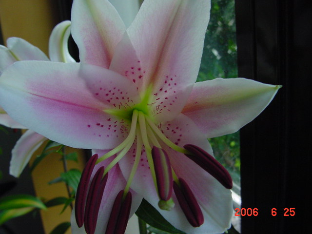 ����СԺ����P20 �����β��