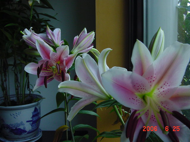 ����СԺ����P20 �����β��