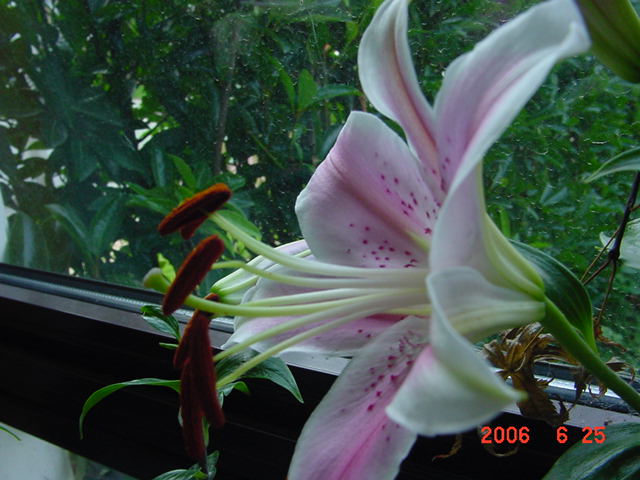 ����СԺ����P20 �����β��