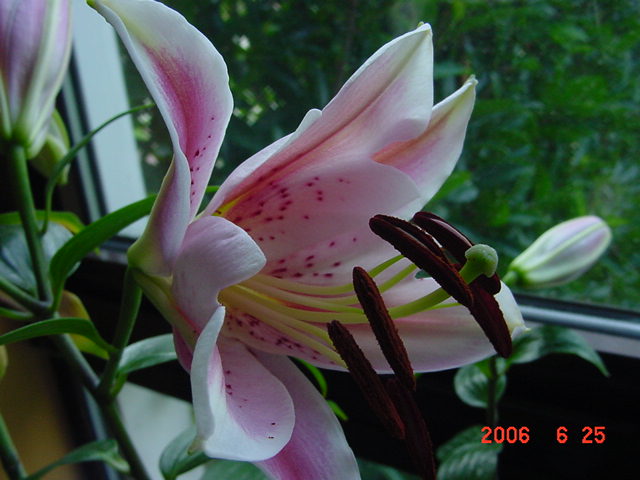 ����СԺ����P20 �����β��