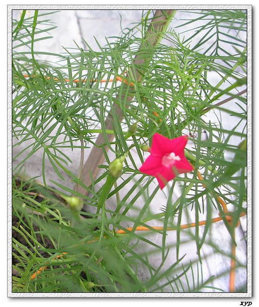 ���ܵ��¼�(��ɫ���ܿ�����)