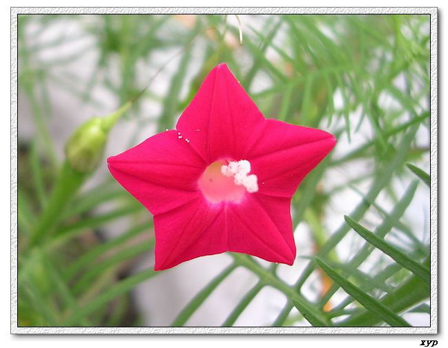 ���ܵ��¼�(��ɫ���ܿ�����)