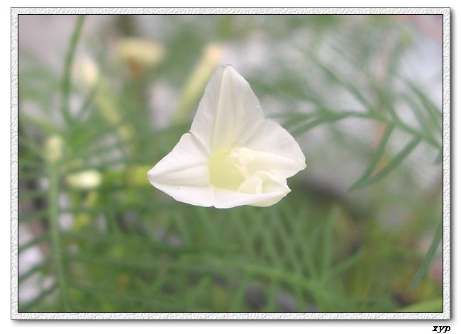 ���ܵ��¼�(��ɫ���ܿ�����)