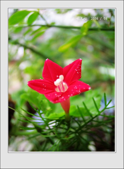 �׻�����