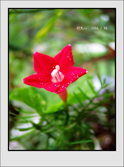 �׻�����~~P2,�컨..