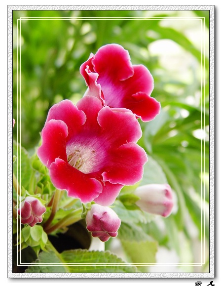 ����ͩ����