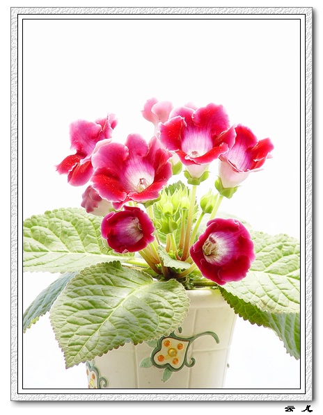 ����ͩ����