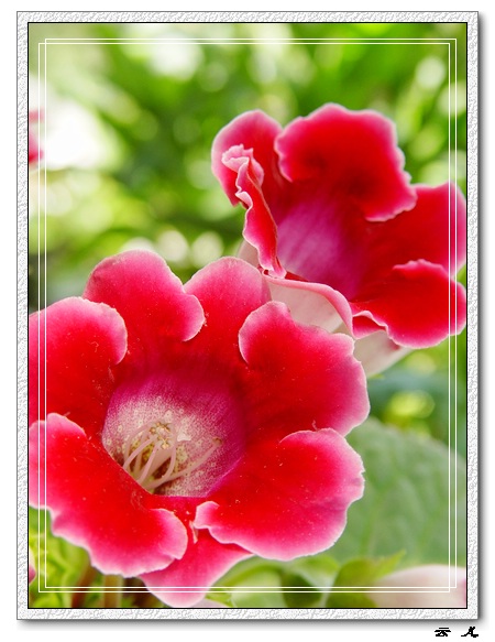 ����ͩ����