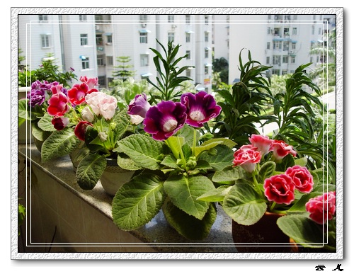 ����ͩ����