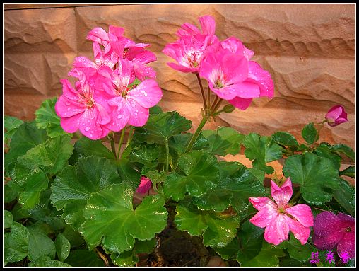 �������ÿ�:P8�°ܵ�3������