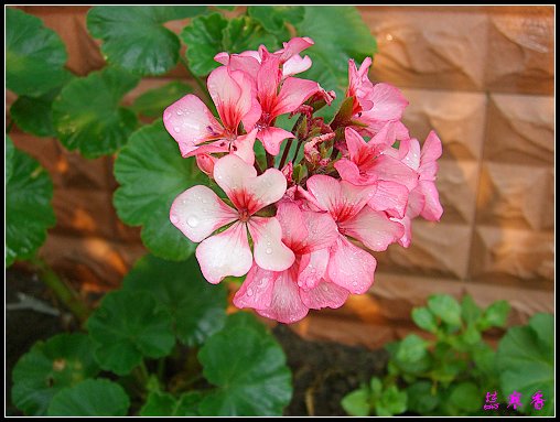 �������ÿ�:P8�°ܵ�3������