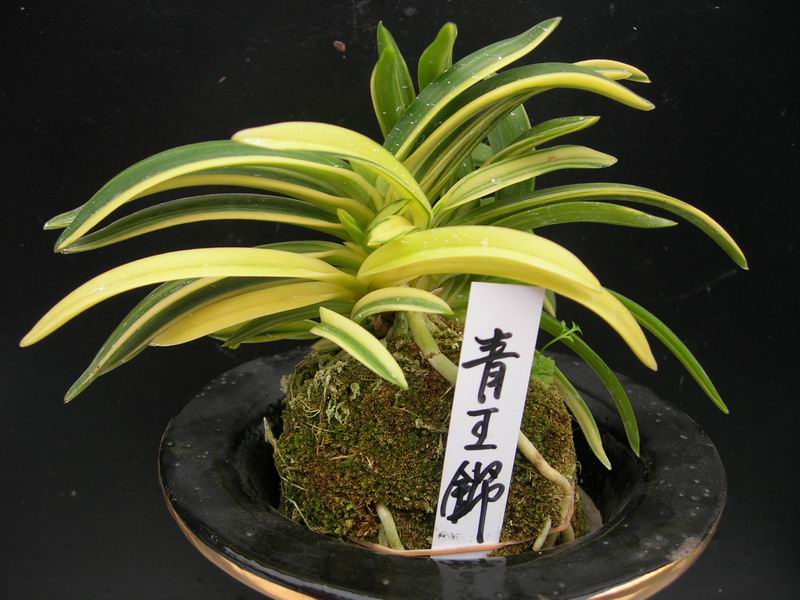 �������L�m....