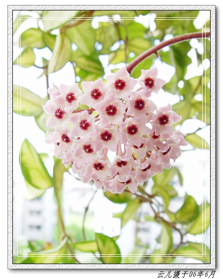 �������ֿ�