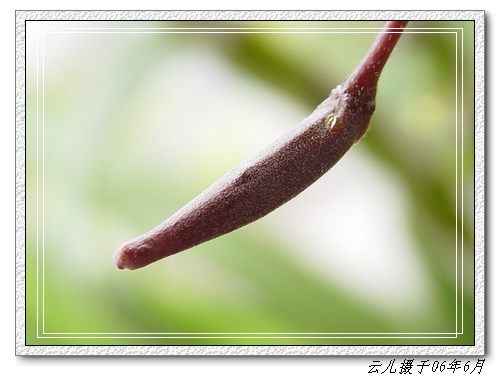 �������ֿ�