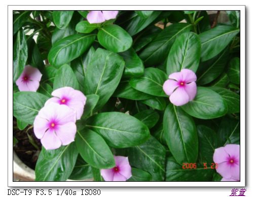 �ҵ����մ�