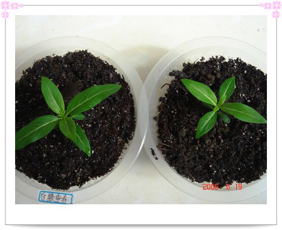 �ҵ����մ�